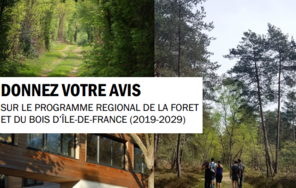 Projet de Programme régional de la forêt et du bois 2019-2029 de la région Île-de-France